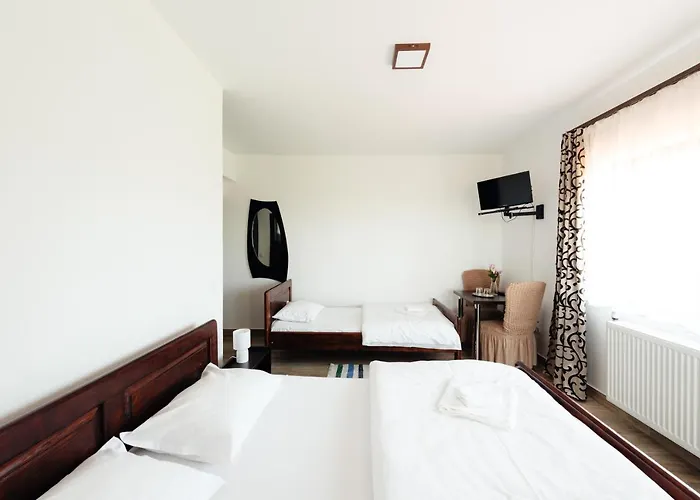 Pensiunea Agroturistica Rares Holiday home